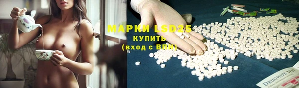 твердый Алзамай