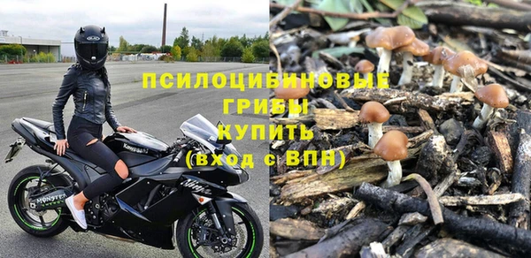 spice Абаза